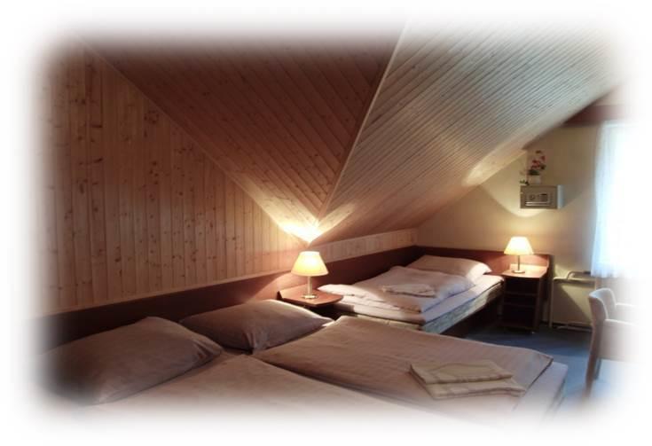 Hotel Prom Svoboda nad Upou Phòng bức ảnh