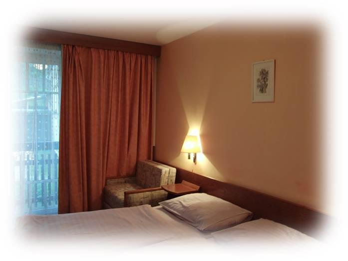 Hotel Prom Svoboda nad Upou Phòng bức ảnh